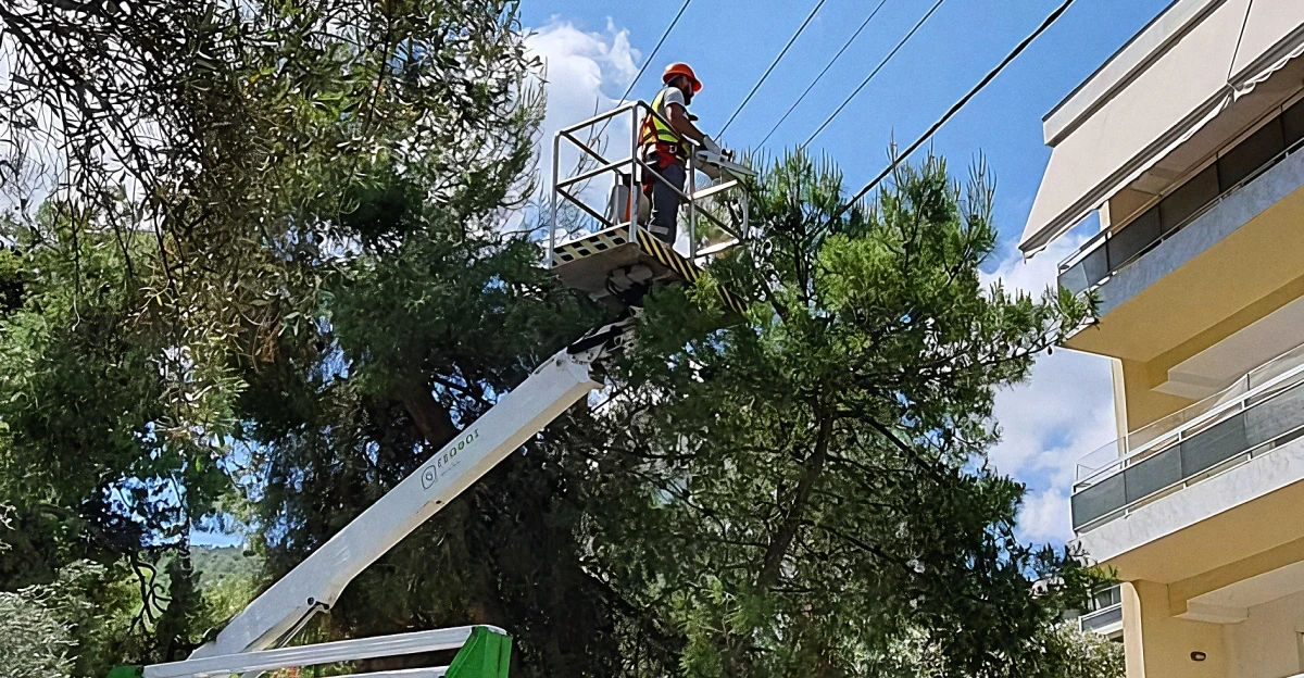 A utility worker in an orange hard hat and safety vest operates from a cherry picker, clearing tree branches from overhead power lines as part of a Geofos urban vegetation management project.