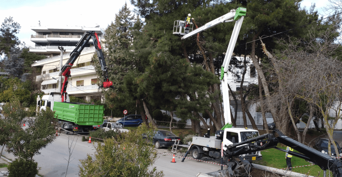 The Geofos urban forestry team conducting large-scale tree pruning in a Nea Smyrni neighborhood, using a cherry picker and a crane truck to manage tall pine trees next to residential buildings.