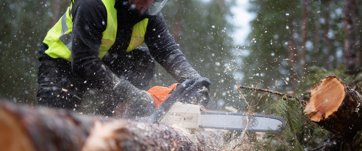 A forestry worker wearing full protective gear uses a chainsaw to cut a large log, with sawdust flying, as part of a Geofos sustainable forest management operation.