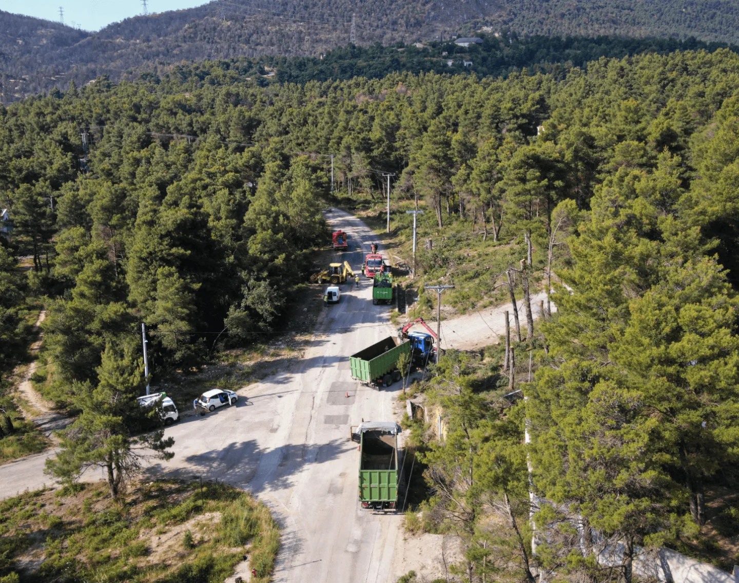 Εργασίες πυροπροστασίας και διαχείρισης βλάστησης σε δασική περιοχή.