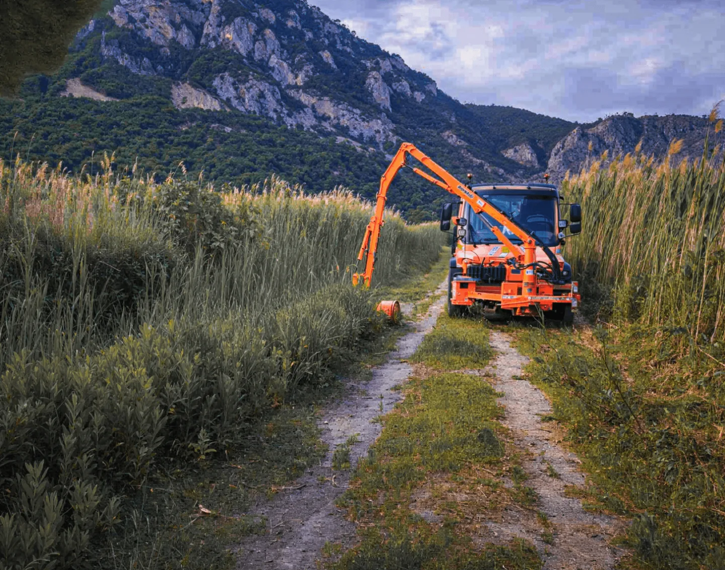 Εκσκαφέας καθαρίζει βλάστηση και φερτά υλικά σε υγροτοπική περιοχή.