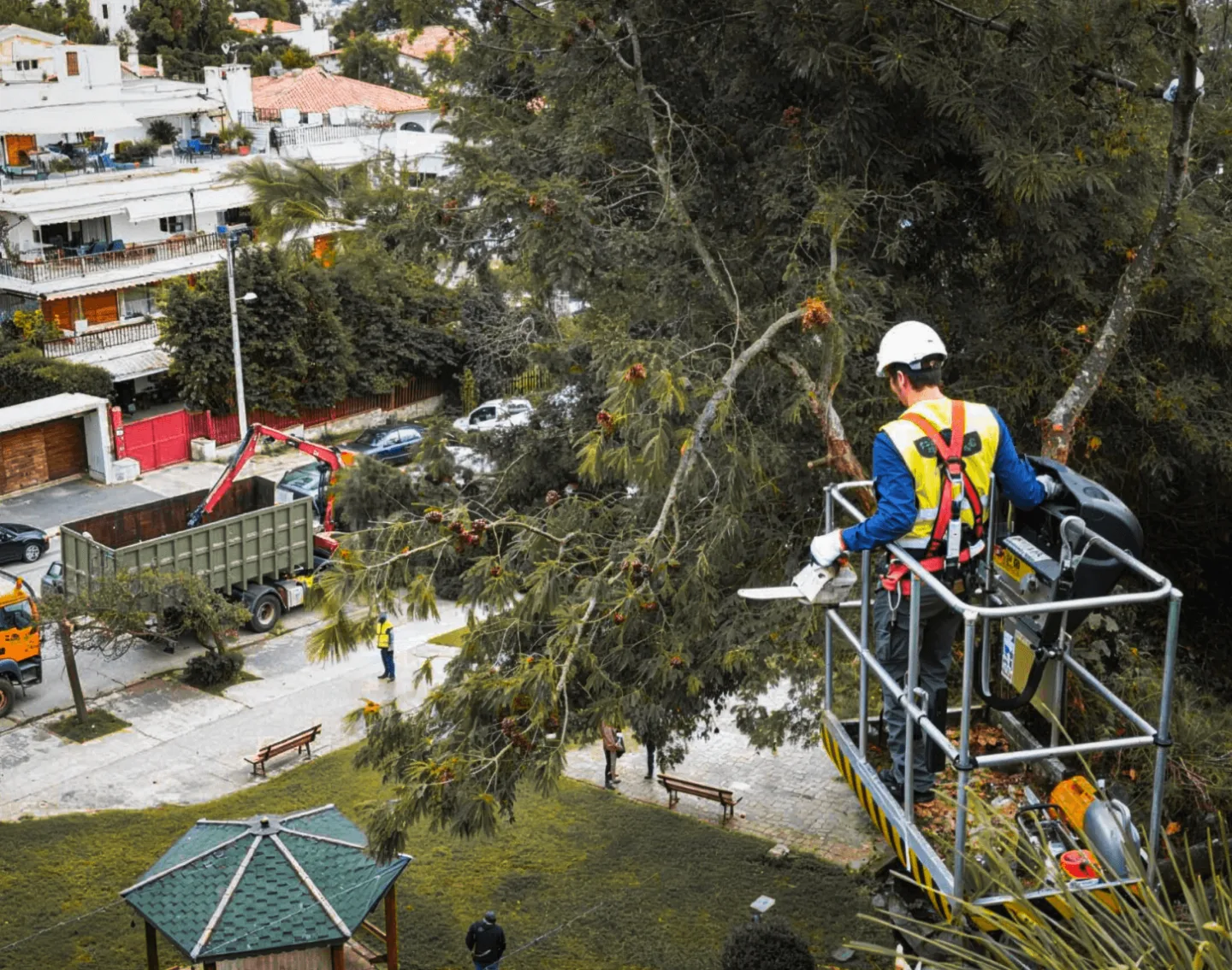Εξειδικευμένος τεχνίτης φροντίζει ώριμο δέντρο μέσα σε αστικό πάρκο.